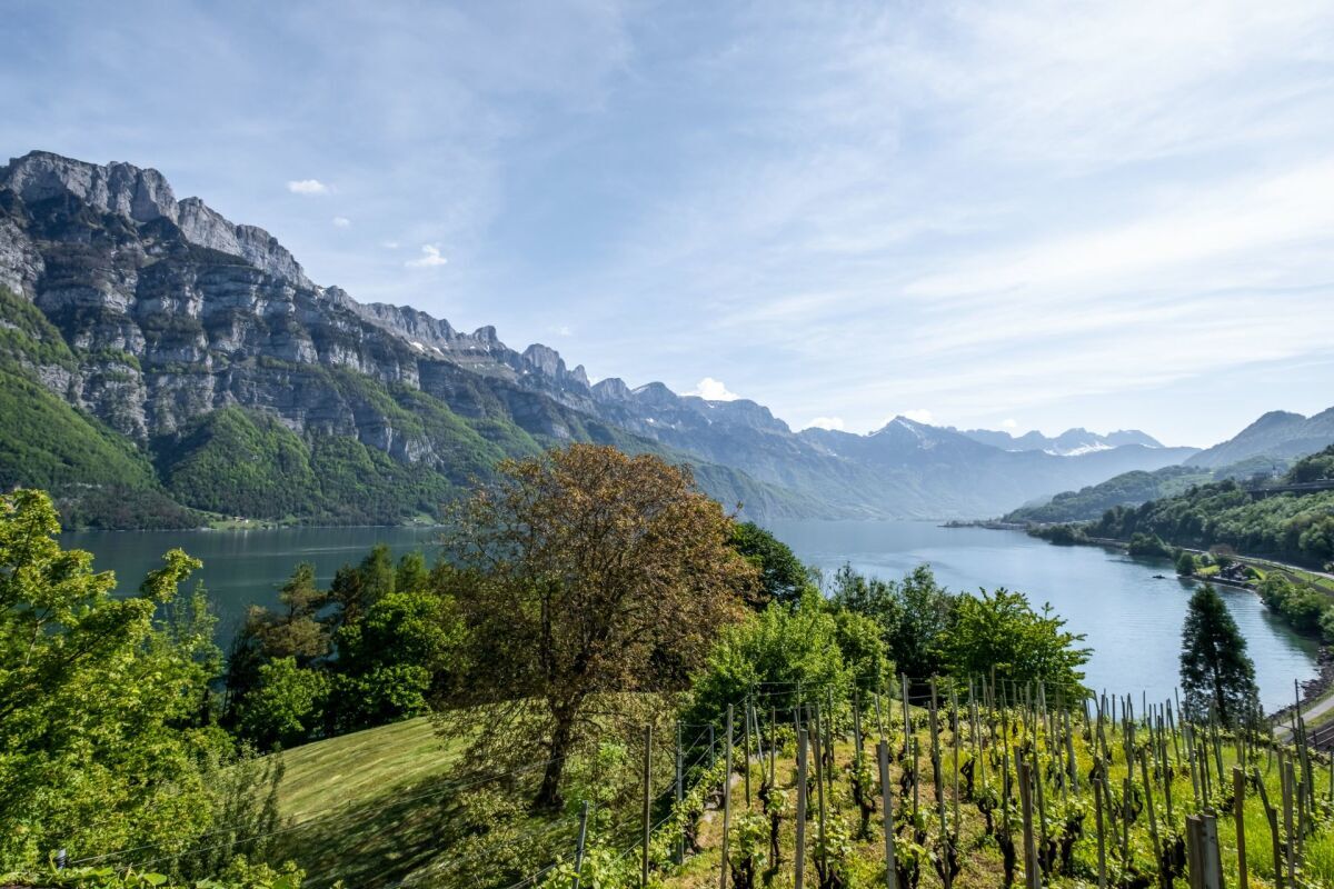 Bauland am Walensee