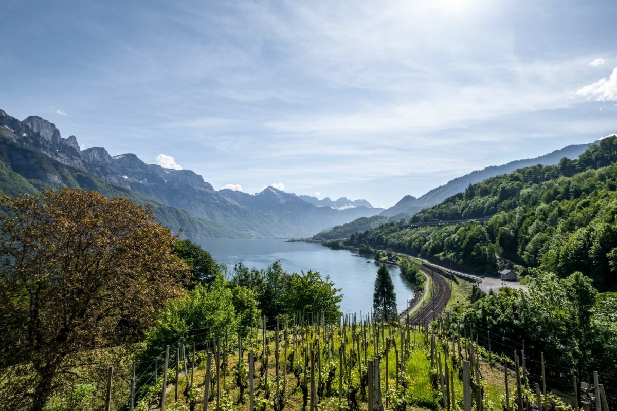 Bauland am Walensee